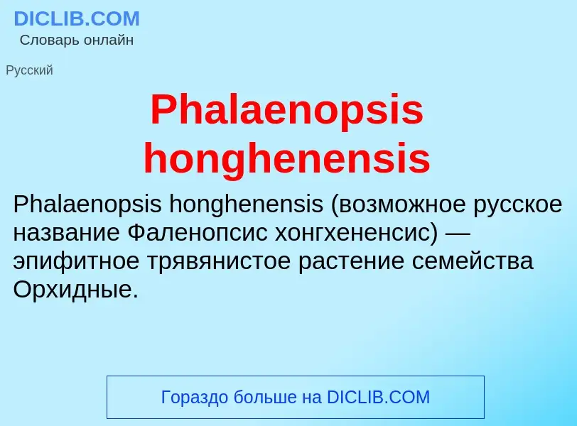 Wat is Phalaenopsis honghenensis - definition