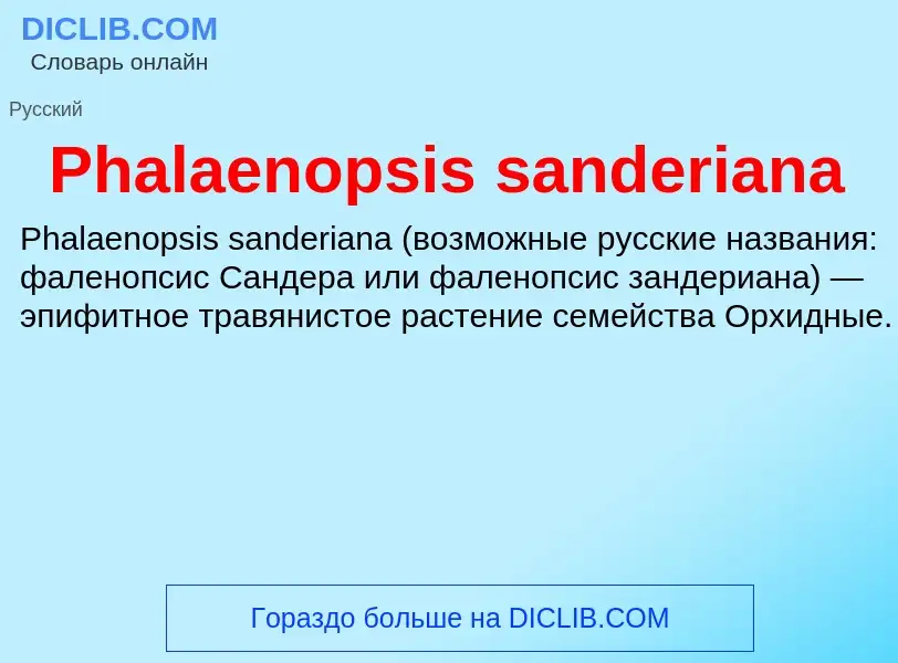 Wat is Phalaenopsis sanderiana - definition