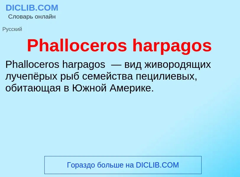 Wat is Phalloceros harpagos - definition