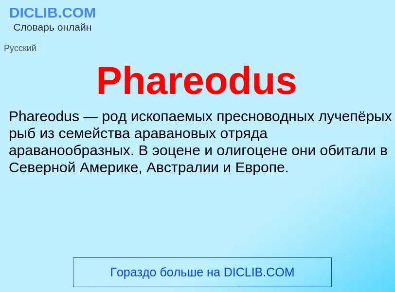 Wat is Phareodus - definition