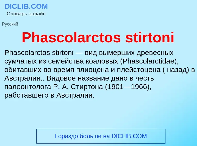 Wat is Phascolarctos stirtoni - definition