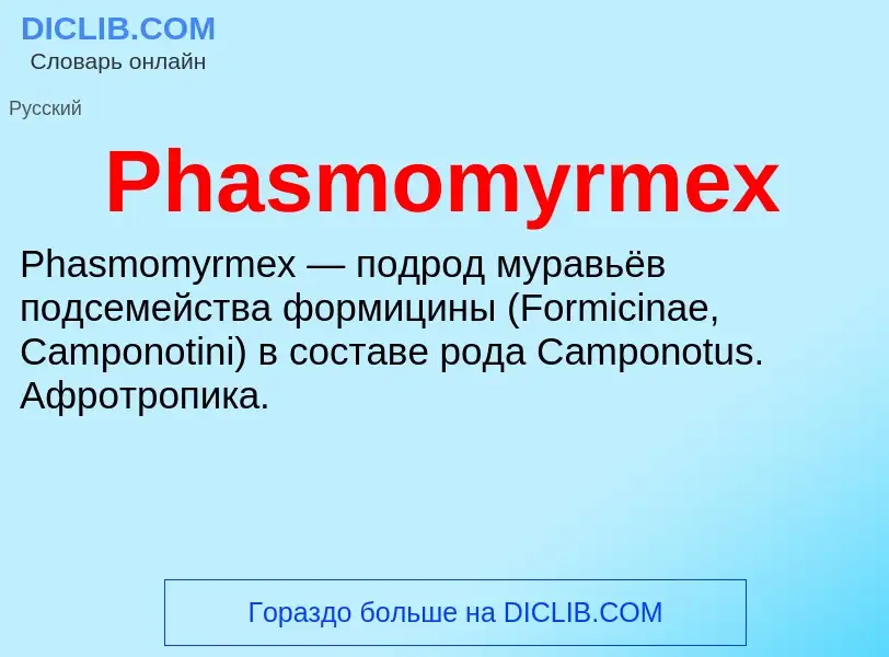 Wat is Phasmomyrmex - definition