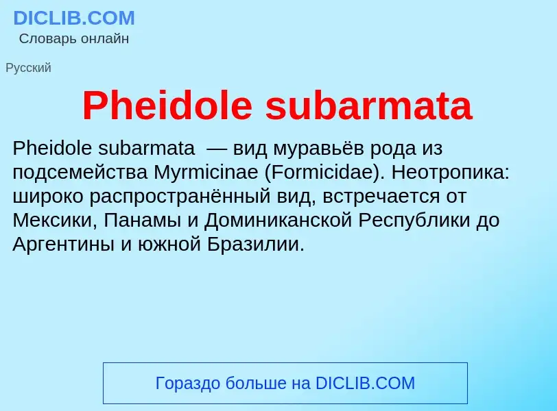 Wat is Pheidole subarmata - definition