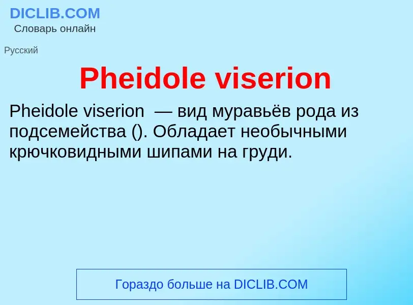 Wat is Pheidole viserion - definition