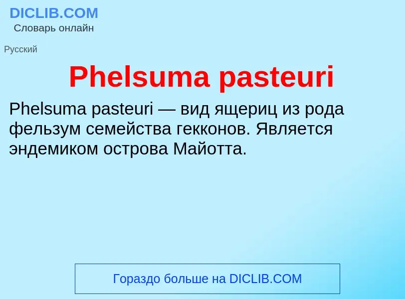 Wat is Phelsuma pasteuri - definition