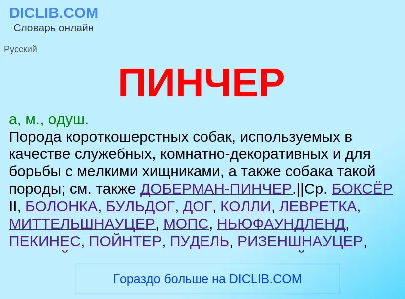 O que é ПИНЧЕР - definição, significado, conceito