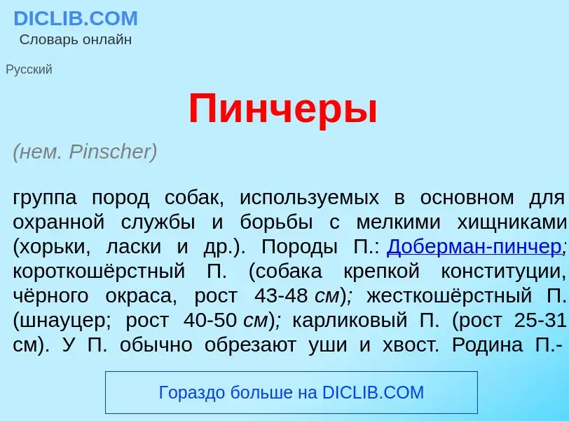 Что такое П<font color="red">и</font>нчеры - определение