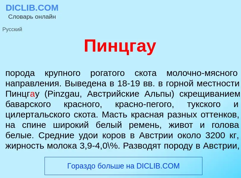 Что такое Пинцг<font color="red">а</font>у - определение