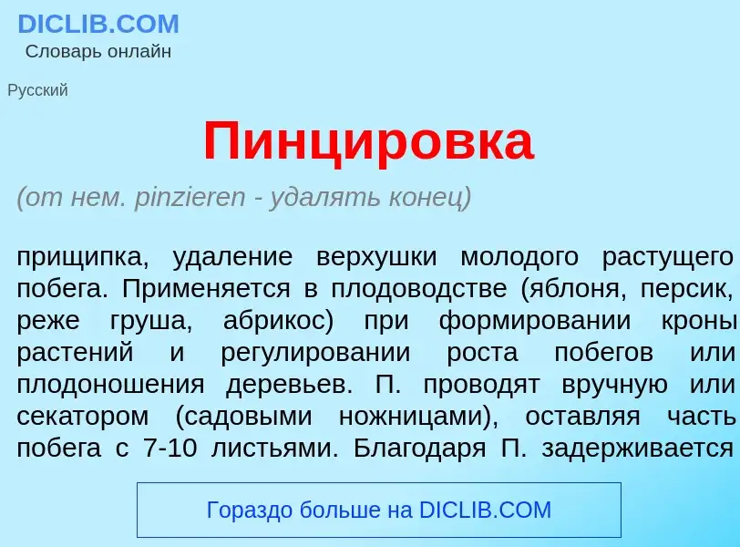 What is Пинцир<font color="red">о</font>вка - meaning and definition