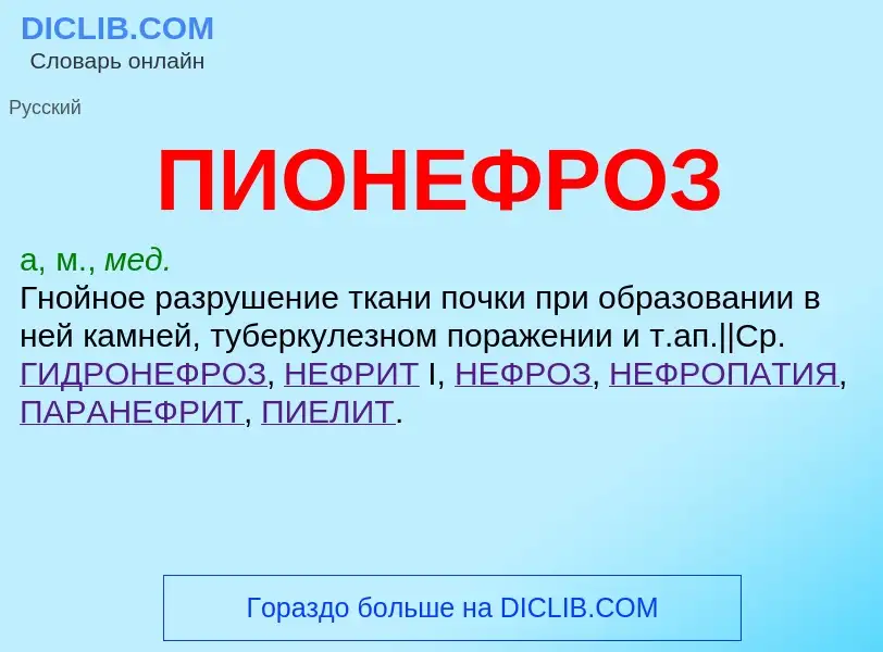 O que é ПИОНЕФРОЗ - definição, significado, conceito