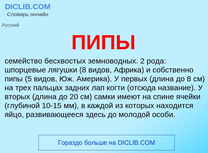 What is ПИПЫ - definition