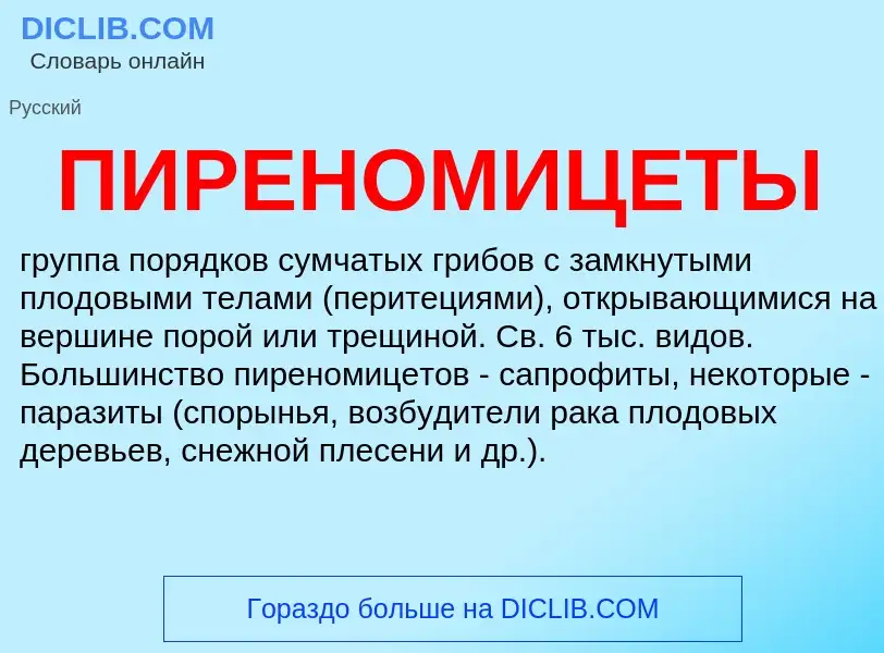 Che cos'è ПИРЕНОМИЦЕТЫ - definizione