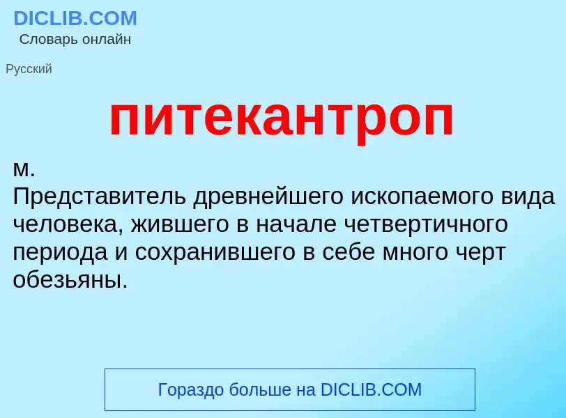 ¿Qué es питекантроп? - significado y definición