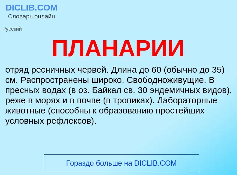 Что такое ПЛАНАРИИ - определение