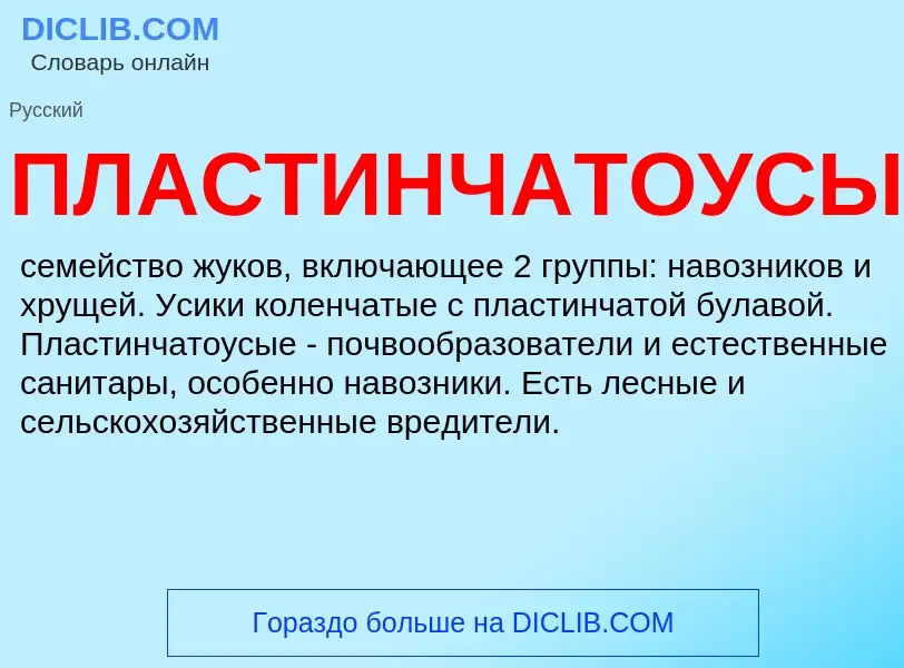 Wat is ПЛАСТИНЧАТОУСЫЕ - definition