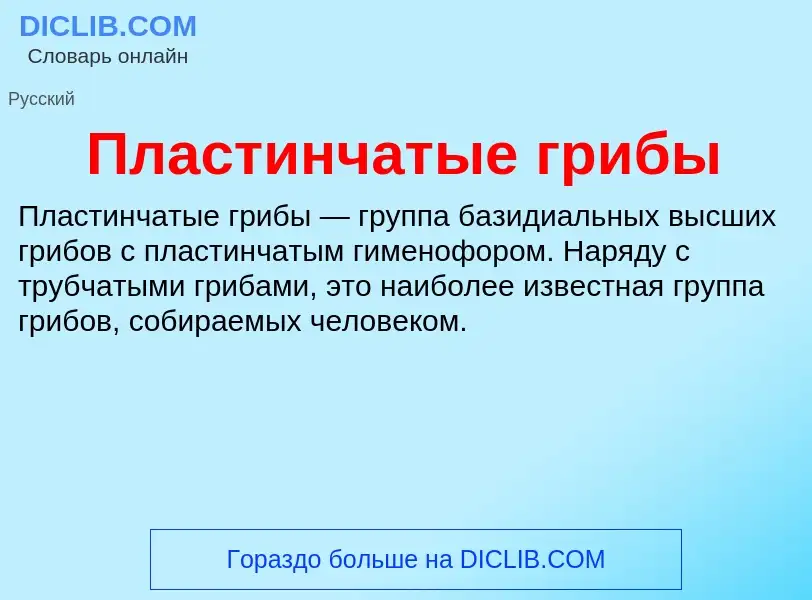 Что такое Пластинчатые грибы - определение