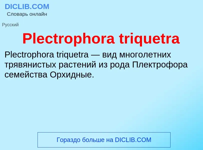 Τι είναι Plectrophora triquetra - ορισμός