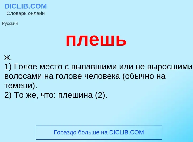 O que é плешь - definição, significado, conceito