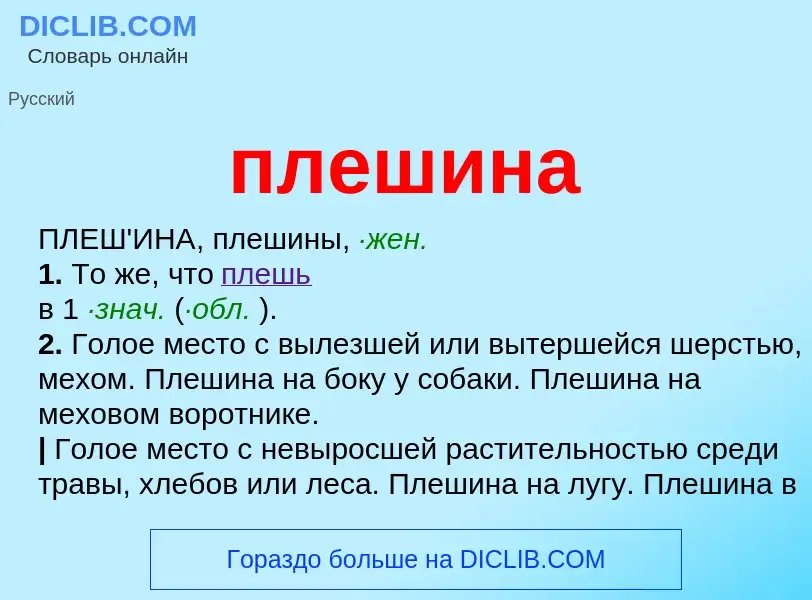 O que é плешина - definição, significado, conceito