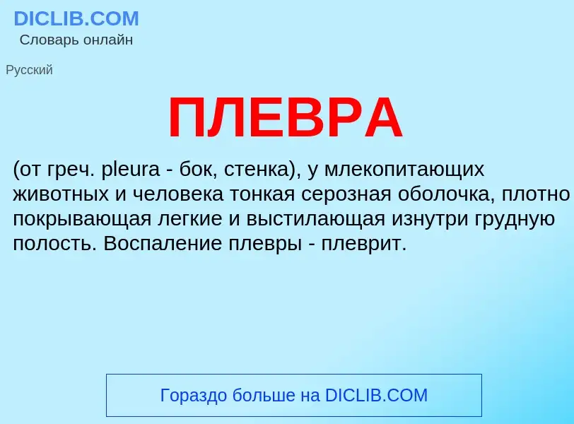 What is ПЛЕВРА - meaning and definition