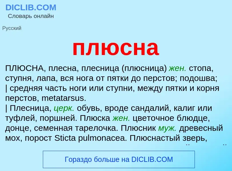O que é плюсна - definição, significado, conceito
