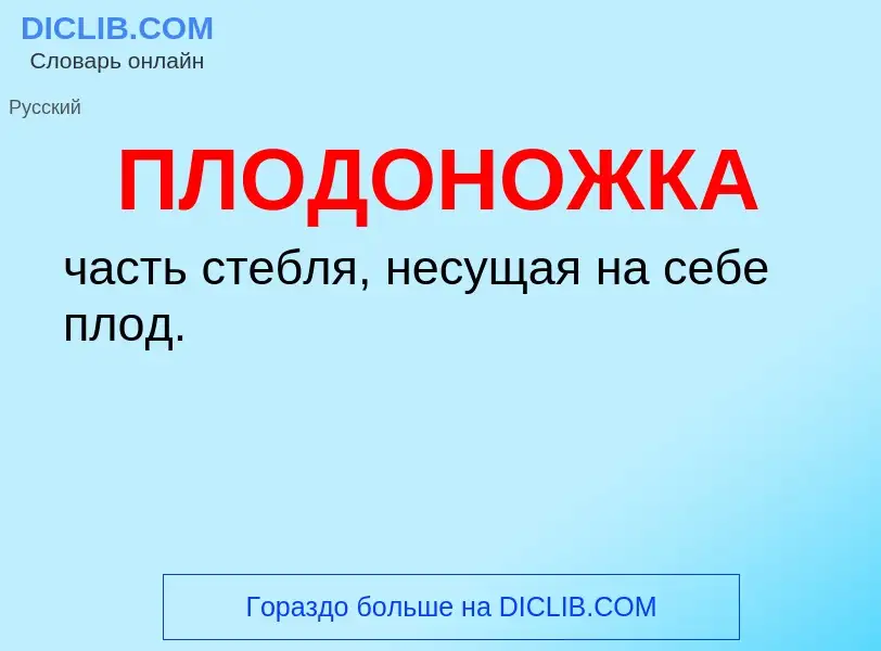 O que é ПЛОДОНОЖКА - definição, significado, conceito