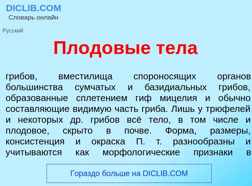 Che cos'è Плод<font color="red">о</font>вые тел<font color="red">а</font> - definizione