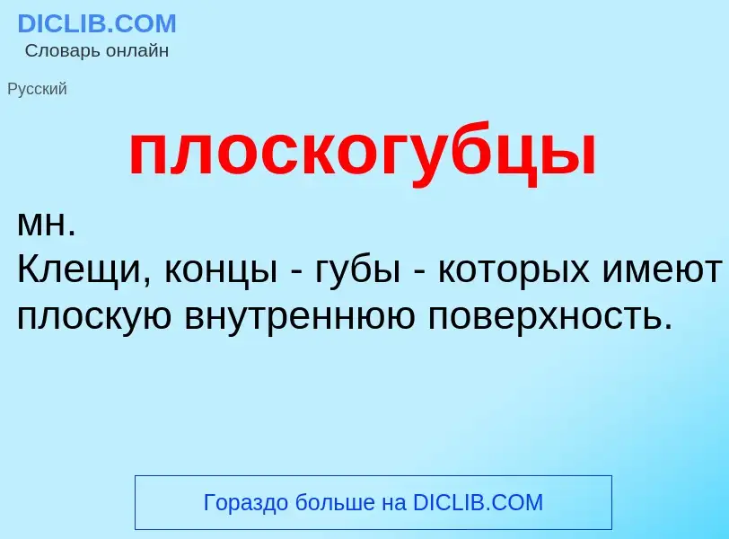 O que é плоскогубцы - definição, significado, conceito