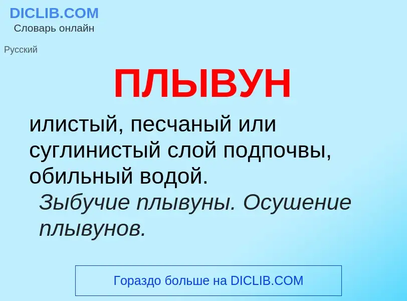 What is ПЛЫВУН - meaning and definition