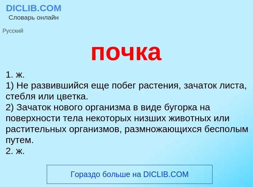 ¿Qué es почка? - significado y definición