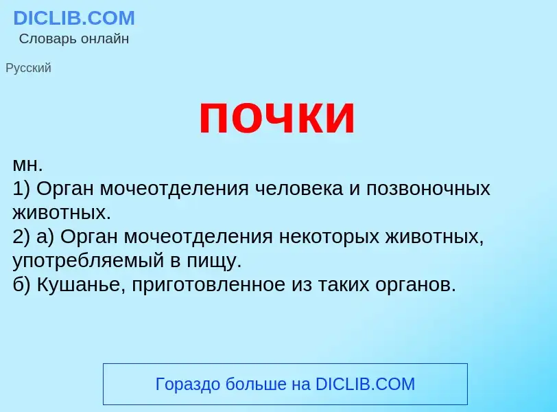 Wat is почки - definition