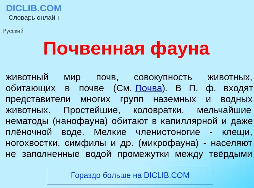 Что такое П<font color="red">о</font>чвенная ф<font color="red">а</font>уна - определение