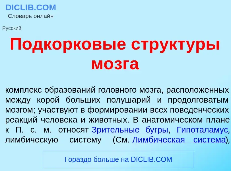 Что такое Подк<font color="red">о</font>рковые структ<font color="red">у</font>ры м<font color="red"