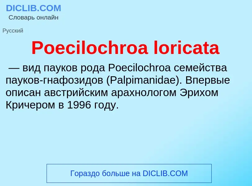 Что такое Poecilochroa loricata - определение