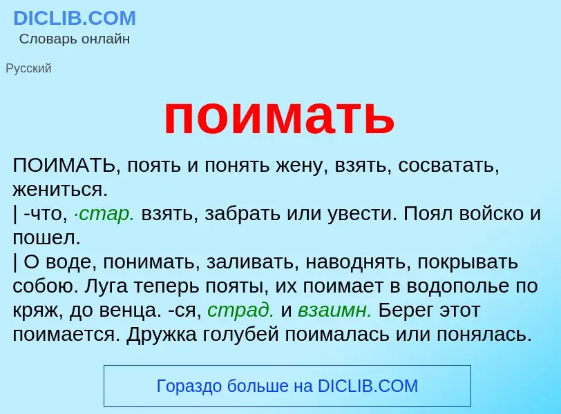 What is поимать - definition