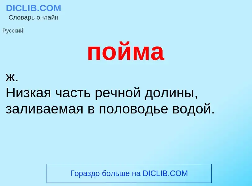 What is пойма - meaning and definition