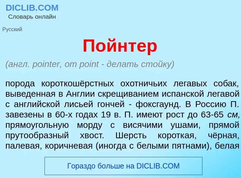 Wat is П<font color="red">о</font>йнтер - definition