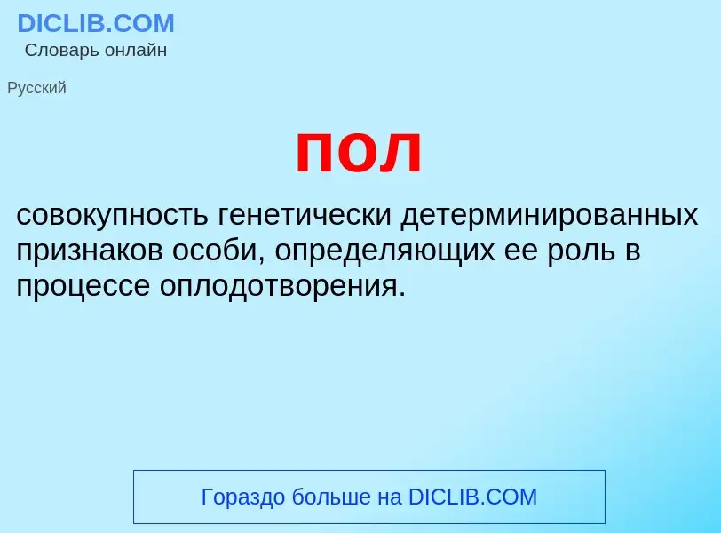 O que é пол - definição, significado, conceito