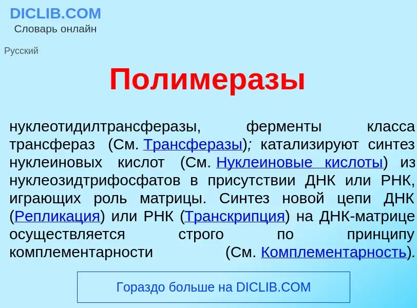 O que é Полимер<font color="red">а</font>зы - definição, significado, conceito