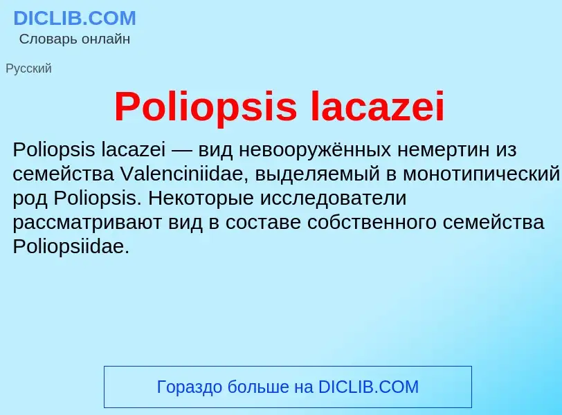 Τι είναι Poliopsis lacazei - ορισμός