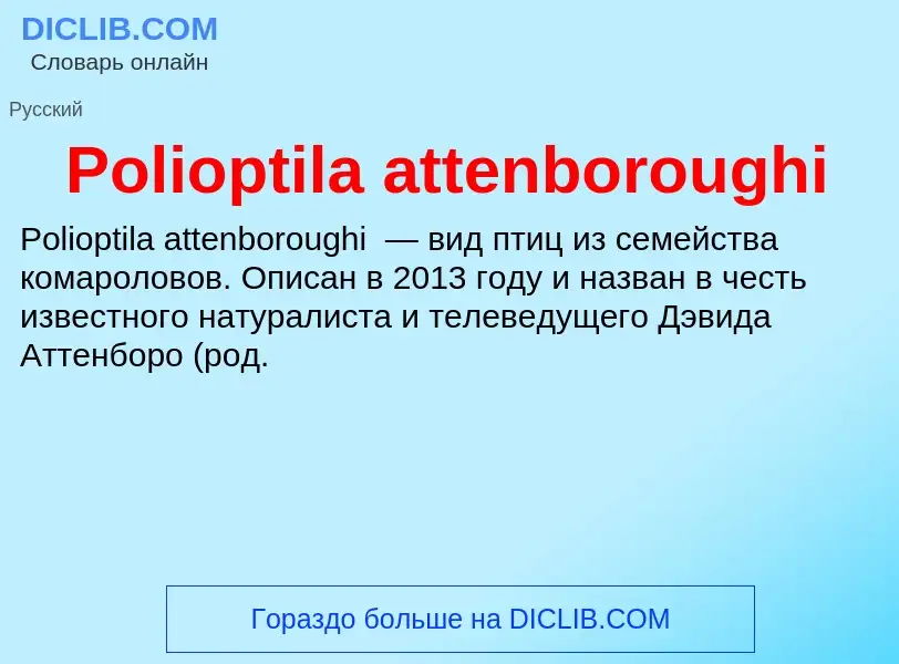 Τι είναι Polioptila attenboroughi - ορισμός