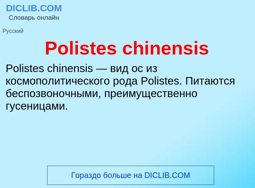 Τι είναι Polistes chinensis - ορισμός