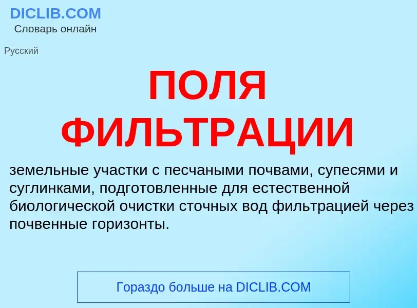 Wat is ПОЛЯ ФИЛЬТРАЦИИ - definition