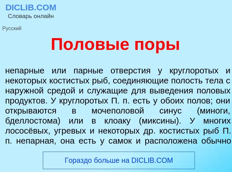 What is Полов<font color="red">ы</font>е п<font color="red">о</font>ры - definition