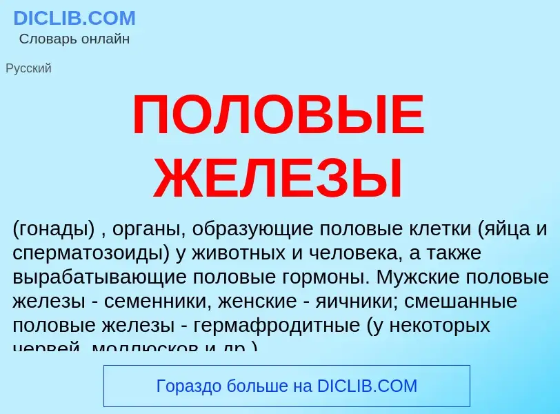 Τι είναι ПОЛОВЫЕ ЖЕЛЕЗЫ - ορισμός