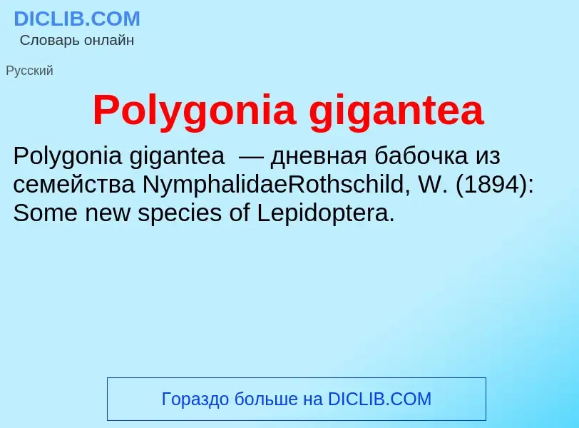 Τι είναι Polygonia gigantea - ορισμός