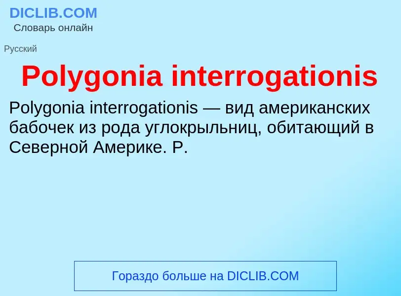 Τι είναι Polygonia interrogationis - ορισμός