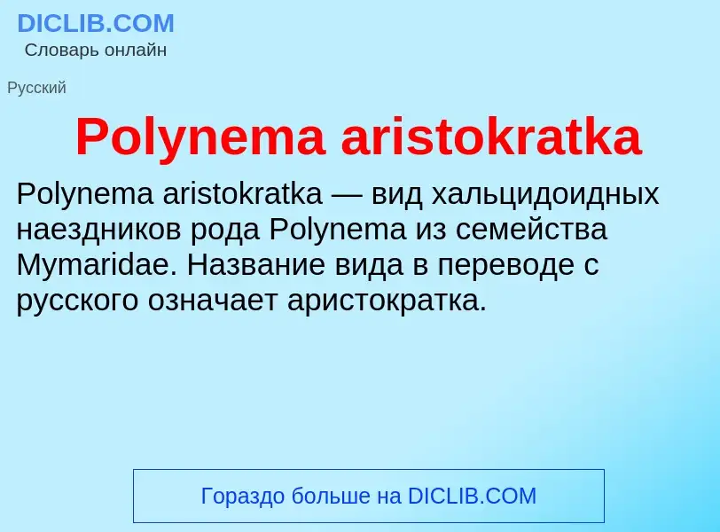 Τι είναι Polynema aristokratka - ορισμός