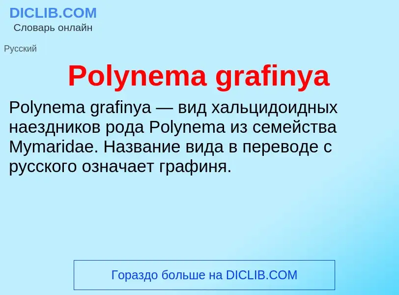 Τι είναι Polynema grafinya - ορισμός