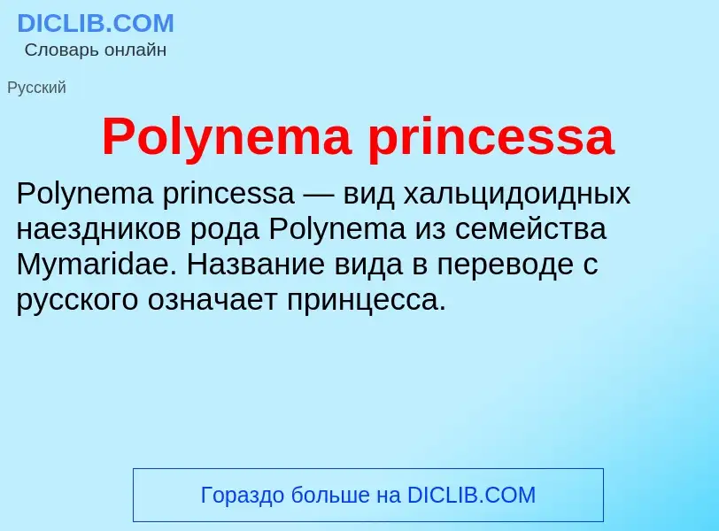 Τι είναι Polynema princessa - ορισμός